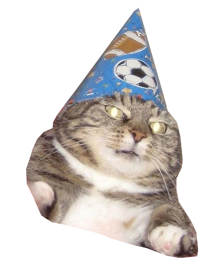 Party cat